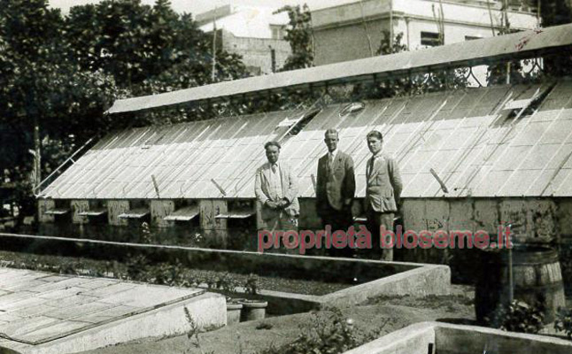 Scafati – ditta F. Bulleri - serre e semenzai