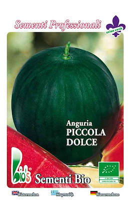 PICCOLA ROTONDA VERDE SCURA