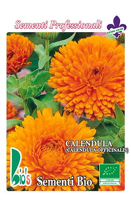 CALENDULA