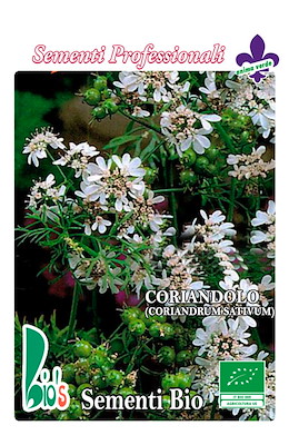 CORIANDOLO