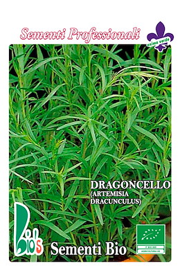 DRAGONCELLO