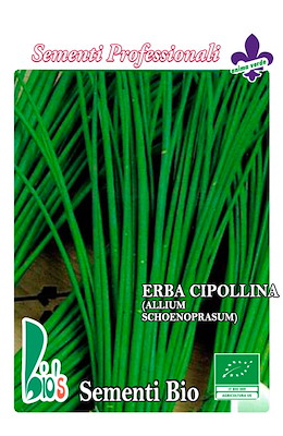 ERBA CIPOLLINA