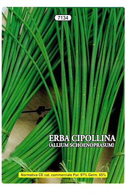 ERBA CIPOLLINA