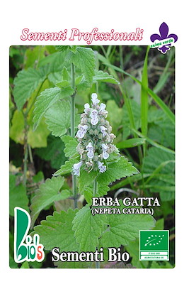 ERBA GATTA