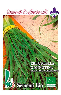 ERBA STELLA O MINUTINA