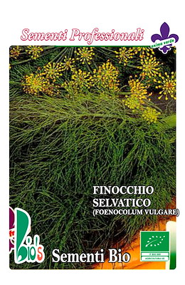 FINOCCHIO SELVATICO