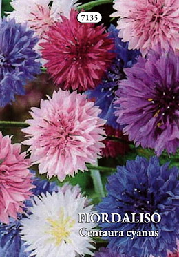 FIORDALISO
