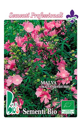 MALVA