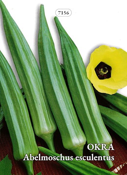 OKRA