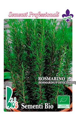 ROSMARINO