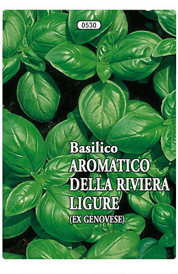 A CUCCHIAIO VERDE SCURO