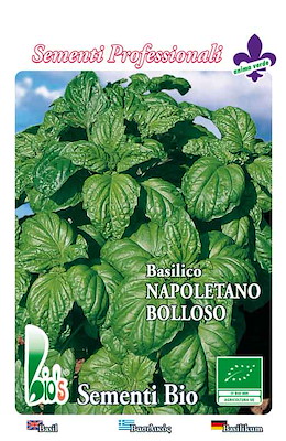 GRANDE BOLLOSO A CUCCHIAIO