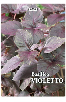MEDIO BOLLOSO ALLUNGATO - VIOLA