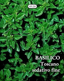 MOLTO GRANDE BOLLOSO A CUCCHIAIO