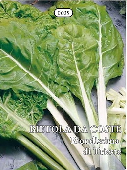 BIONDA LISCIA DA TAGLIO