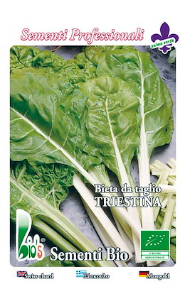 BIONDA LISCIA DA TAGLIO