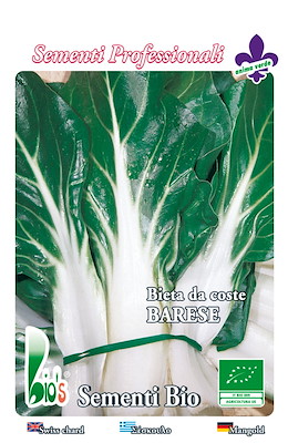 COSTA MEDIA LISCIA