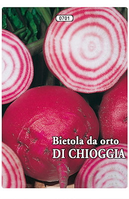 ROTONDA ROSSA PRECOCE