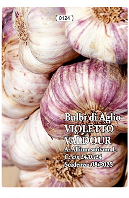 VIOLETTO MEDIO-TARDIVO