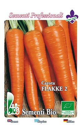 MEDIA CONICA A PUNTA