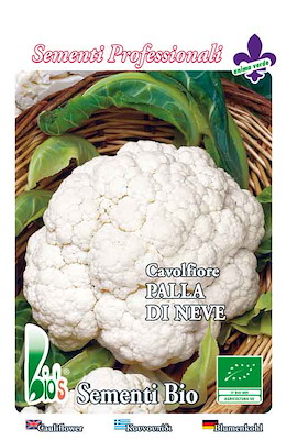 PRECOCISSIMO MEDIO-GROSSO