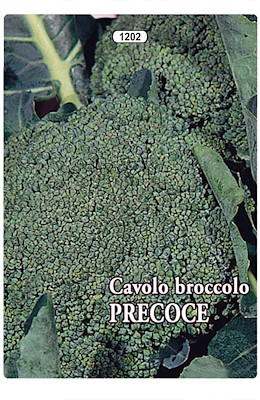 CALABRESE PRECOCE