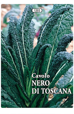 LANCINIATO NERO DI TOSCANA