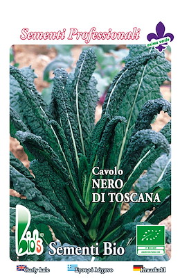 LANCINIATO NERO DI TOSCANA
