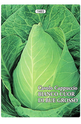 MEDIO-TARDIVO CONICO