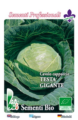 PRECOCISSIMO TONDO