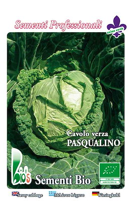 PRECOCE PIANTA MEDIA TESTA ROTONDA