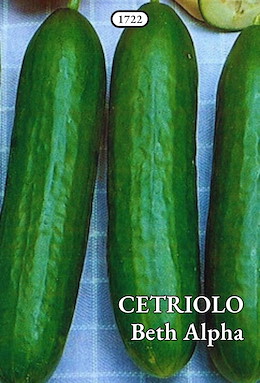 DA PIENO CAMPO PRECOCE VERDE LISCIO