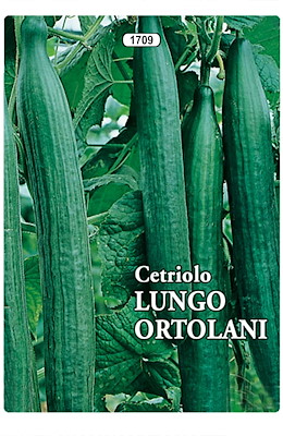 PER MERCATO FRESCO MEDIO-PRECOCE VERDE LISCIO