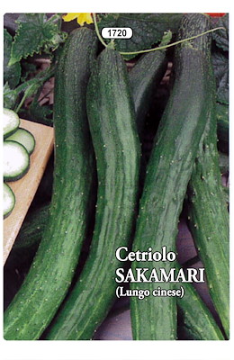 PER MERCATO FRESCO MEDIO-PRECOCE VERDE SPINE BIANCHE