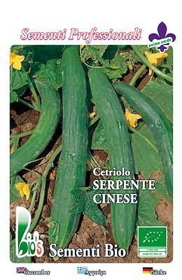 PER MERCATO FRESCO MEDIO-PRECOCE VERDE SPINE BIANCHE