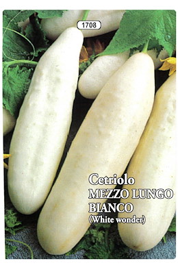 PER MERCATO FRESCO PRECOCE BIANCO LISCIO