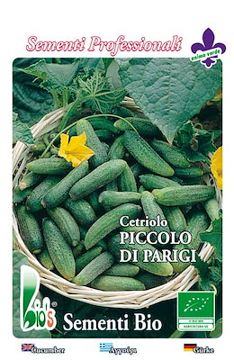 PER SOTTACETO PRECOCE VERDE A SPINE NERE