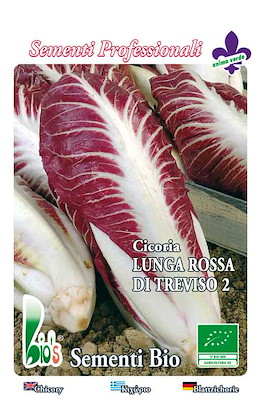 CESPO ALLUNGATO STRETTA ROSSA COSTA BIANCA