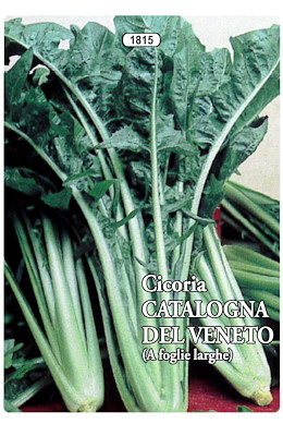 CESPO ERETTO LUNGA INTERA VERDE COSTA BIANCA