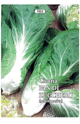 CESPO VOLUMINOSO AVVOLGENTE VERDE MEDIO-BIANCA