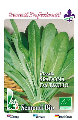 DA TAGLIO LUNGA VERDE BRILLANTE