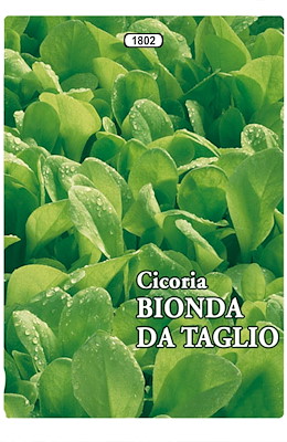 DA TAGLIO TONDA LARGA BIONDA