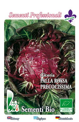 PALLA APERTA TONDA LARGA ROSSA SCURA COSTA BIANCA