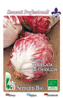 PALLA COMPATTA TONDA AVVOLGENTE ROSSA COSTA BIANCA