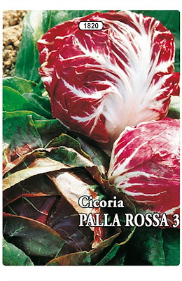 PALLA COMPATTA TONDA LARGA ROSSA COSTA BIANCA