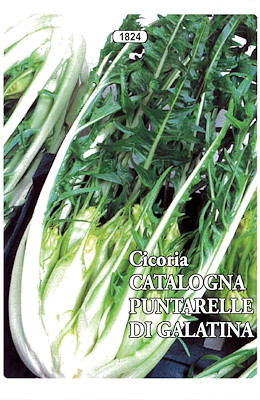 PIGNA COMPATTA LUNGA FRASTAGLIATA VERDE