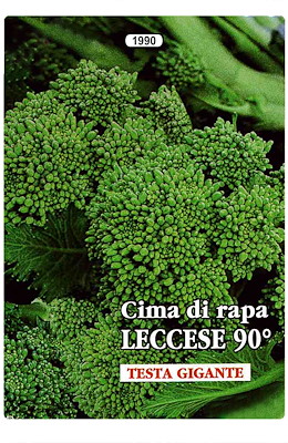 LECCESE NOVANTINO
