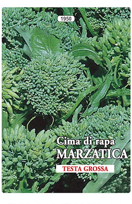 MARZATICA