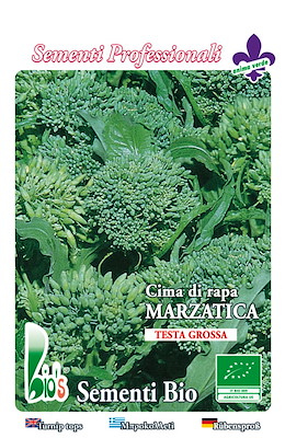 MARZATICA