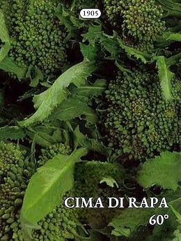 SESSANTINO A CIMA GROSSA